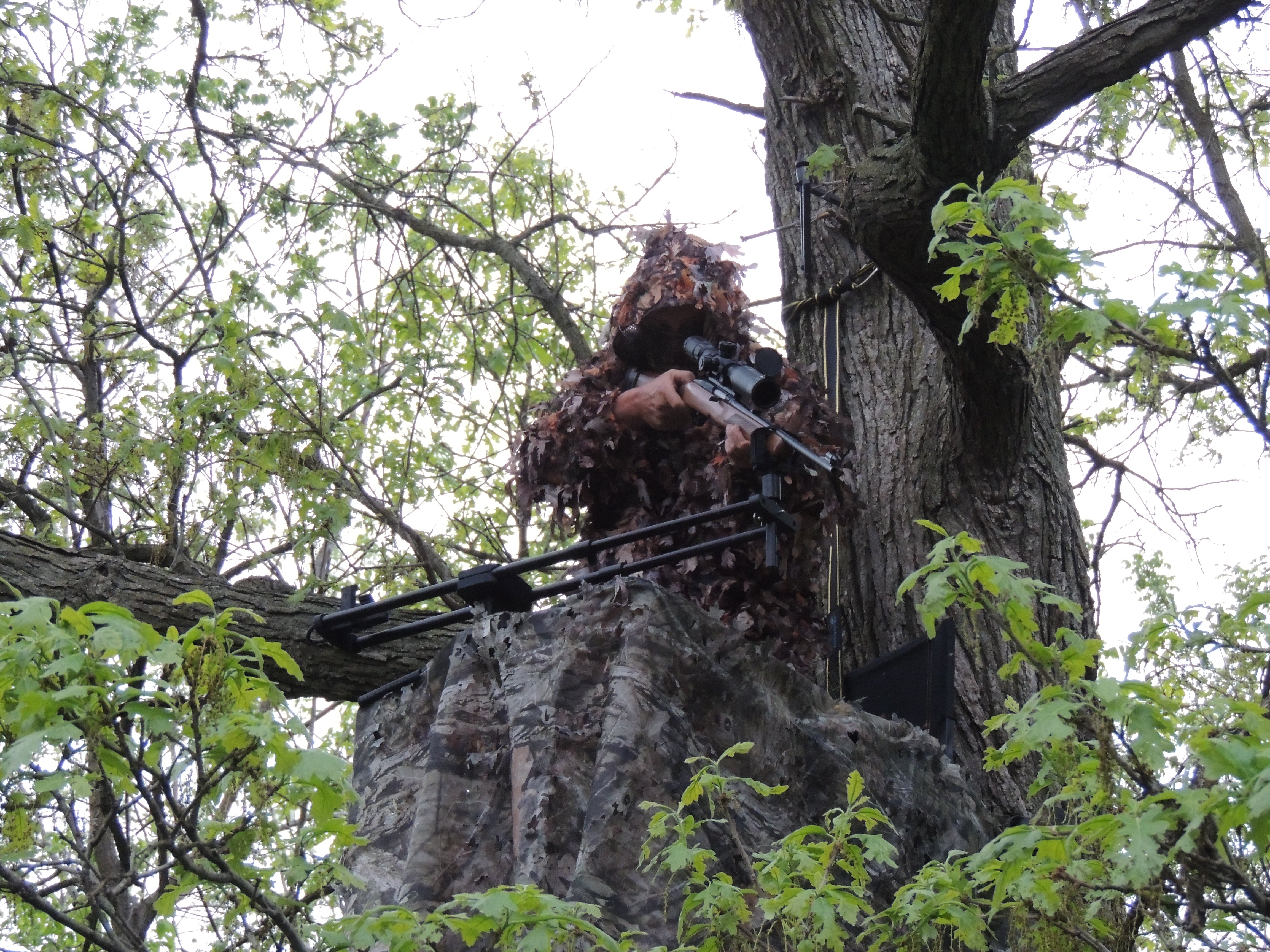 Slide Shot™ Tree Bundle – Slide Shot by Demonic Buck